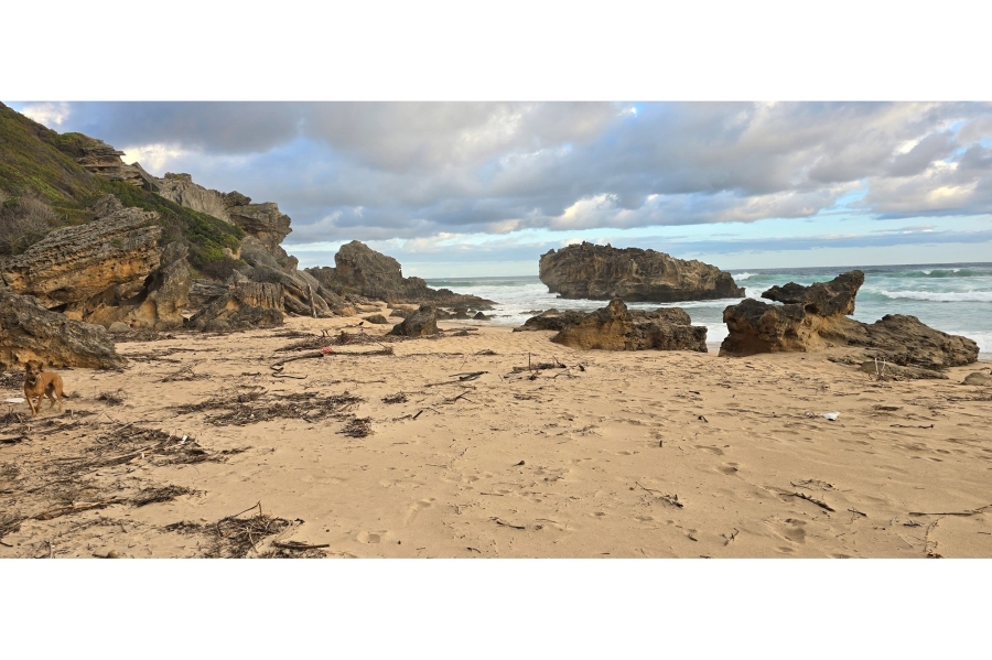 0 Bedroom Property for Sale in Brenton On Sea Western Cape